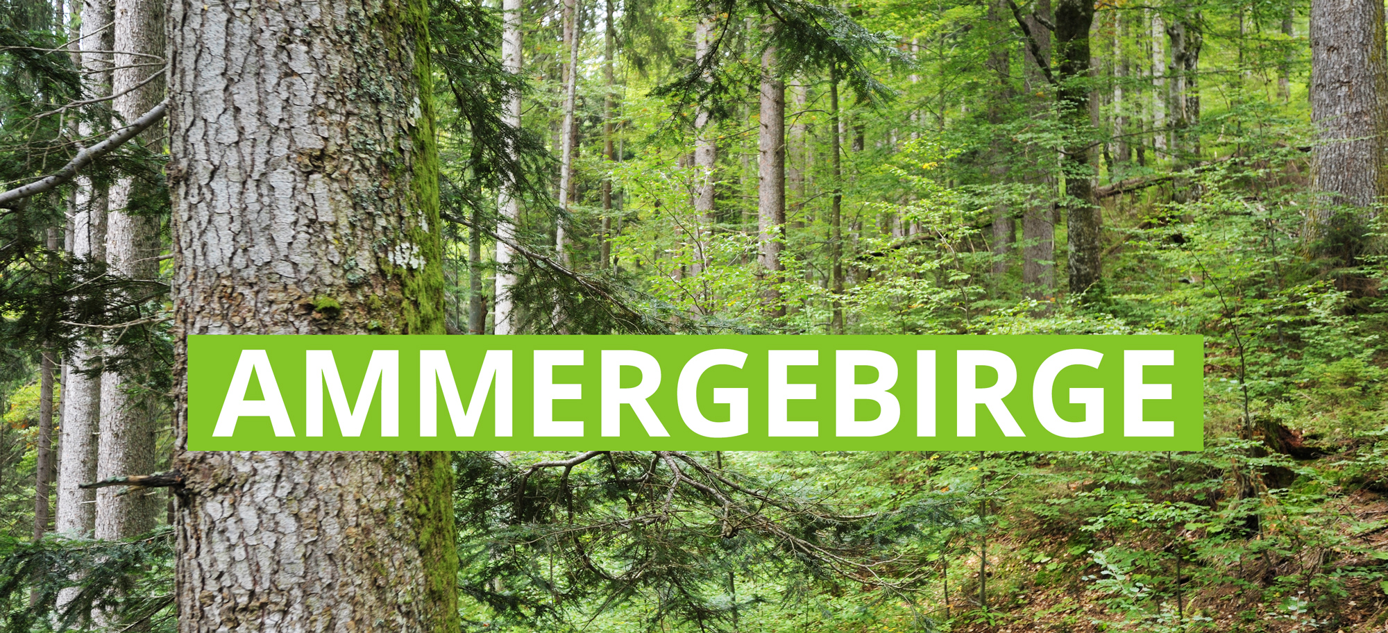Ammergebirge