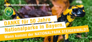 Danke für 50 Jahre Nationalparke in Bayern. Wann kommt der Nationalpark im Steigerwald?